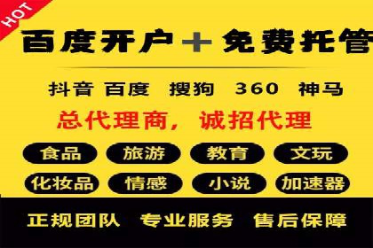 成功SEM托管案例：流量与转化双赢